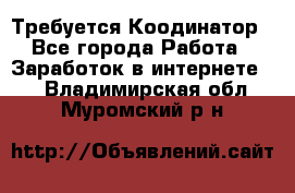 Требуется Коодинатор - Все города Работа » Заработок в интернете   . Владимирская обл.,Муромский р-н